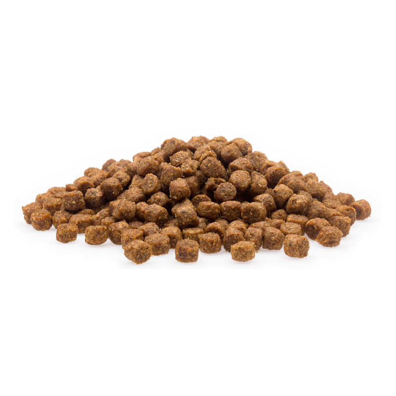 Mifuma Junior - Für den Weltentdecker