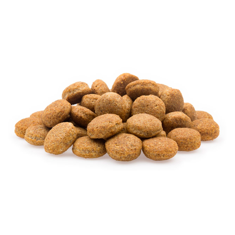 Mifuma Krokette - Für den Gourmet mit Biss